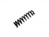 Fahrwerksfeder Coil Spring:48131-50050