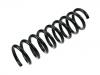 Fahrwerksfeder Coil Spring:202 321 01 04