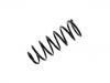 Muelle de chasis Coil Spring:48231-6A320