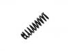 Muelle de chasis Coil Spring:48131-6B020