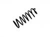 Muelle de chasis Coil Spring:48231-6A820
