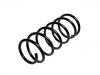 Fahrwerksfeder Coil Spring:60507953