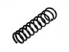 Fahrwerksfeder Coil Spring:60625039