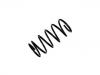 Fahrwerksfeder Coil Spring:48231-87406-000