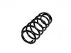 Ressort hélicoidal Coil Spring:454 324 0704