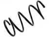 венцивидная пружина Coil Spring:4040A097