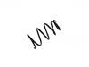 Muelle de chasis Coil Spring:48131-48120