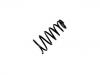 Muelle de chasis Coil Spring:48231-48090