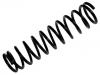 венцивидная пружина Coil Spring:MR333556
