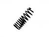 Fahrwerksfeder Coil Spring:MB871305