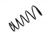 Coil Spring:BJ3D-28-011