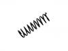 Muelle de chasis Coil Spring:33 53 1 091 940