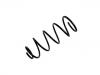 Coil Spring:1494503080