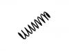 Muelle de chasis Coil Spring:1H9 511 115 F