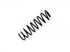 Muelle de chasis Coil Spring:1H9 511 115 C