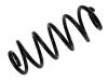 Fahrwerksfeder Coil Spring:8D0 411 105 DR