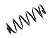 Fahrwerksfeder Coil Spring:8D0 411 105 AP