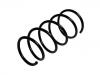 венцивидная пружина Coil Spring:31 33 1 092 656