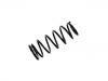 Fahrwerksfeder Coil Spring:41311-80G10