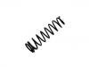Muelle de chasis Coil Spring:52440-S01-A01