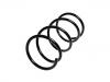 венцивидная пружина Coil Spring:54630-2F000