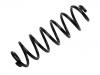 Coil Spring:1J0 511 115 CF