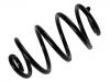 Muelle de chasis Coil Spring:55020-BC101