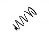 Fahrwerksfeder Coil Spring:54010-4M403