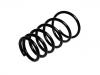 Coil Spring:96207571