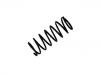 Coil Spring:48231-97201-000