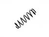 Coil Spring:48131-87747-000