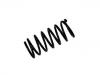 Fahrwerksfeder Coil Spring:48231-87279-000