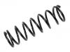 Coil Spring:1143702