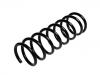 Coil Spring:1127084