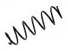 Muelle de chasis Coil Spring:50704418