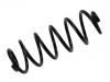 Muelle de chasis Coil Spring:50705317