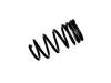 Muelle de chasis Coil Spring:55100-4A000