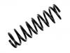 Coil Spring:2101-2902712