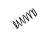 Muelle de chasis Coil Spring:2120-2902712