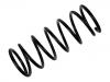 Coil Spring:2112-2902712