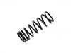 венцивидная пружина Coil Spring:NRC8045