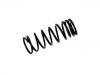 Coil Spring:NRC8044