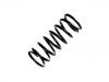 Coil Spring:NRC6904