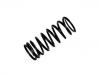 Muelle de chasis Coil Spring:RKB101240