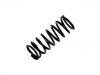 Fahrwerksfeder Coil Spring:STC8937