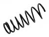 Muelle de chasis Coil Spring:CB01-28-011A