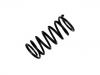 Muelle de chasis Coil Spring:463 324 00 04