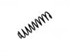 Fahrwerksfeder Coil Spring:211 321 17 04