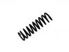 Fahrwerksfeder Coil Spring:202 321 10 04