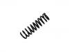 Fahrwerksfeder Coil Spring:202 321 11 04